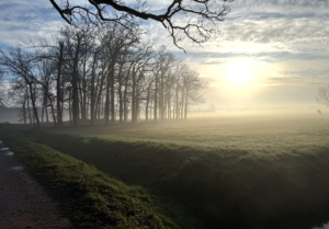 Lievendaal, een verdwenen kasteel in het groen